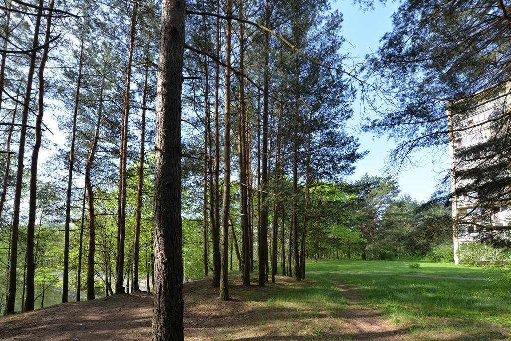 Apartamentai Prie Alkos Друскининкай Экстерьер фото